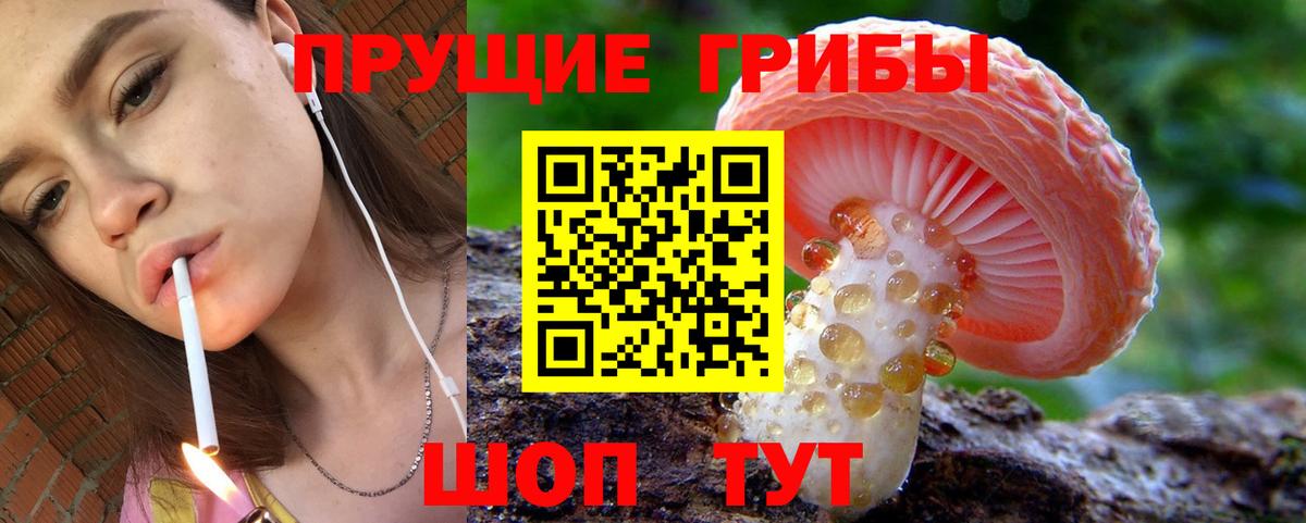 Псилоцибиновые грибы ЛСД  Вход с VPN  Галлюциногенные грибы GOLDEN TEACHER  Малгобек 
